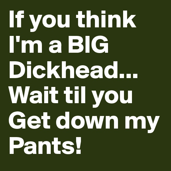 If you think I'm a BIG Dickhead...
Wait til you Get down my Pants!