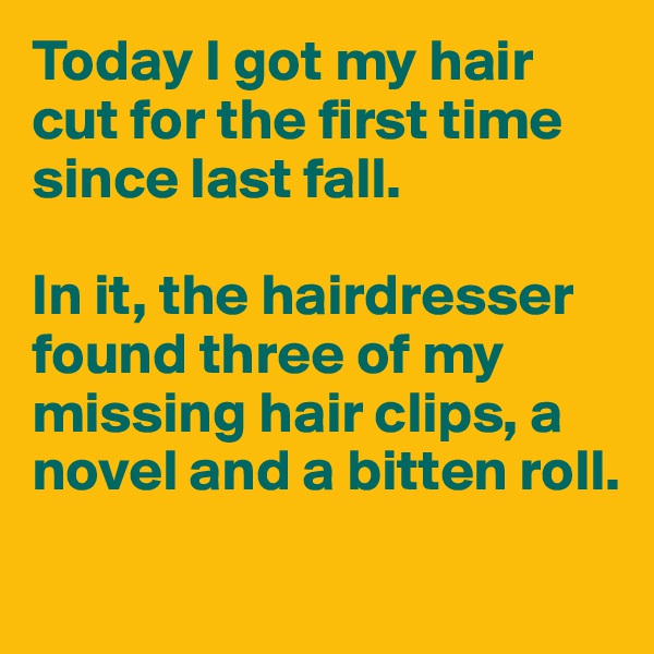 Today I got my hair cut for the first time since last fall. 

In it, the hairdresser found three of my missing hair clips, a novel and a bitten roll.
