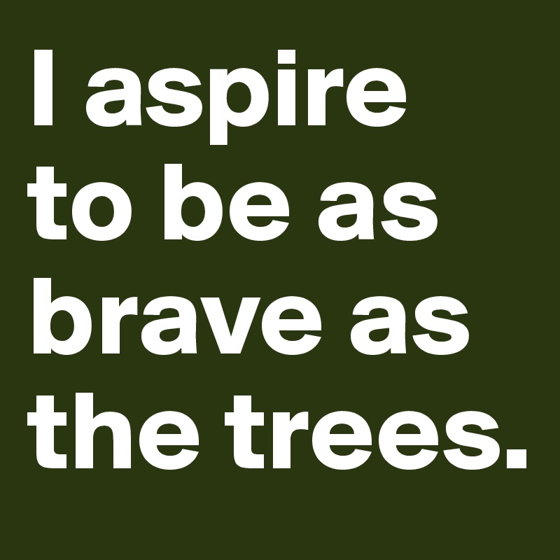 I aspire to be as brave as the trees.