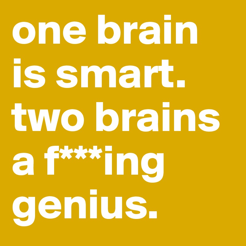 one brain is smart. two brains a f***ing genius.