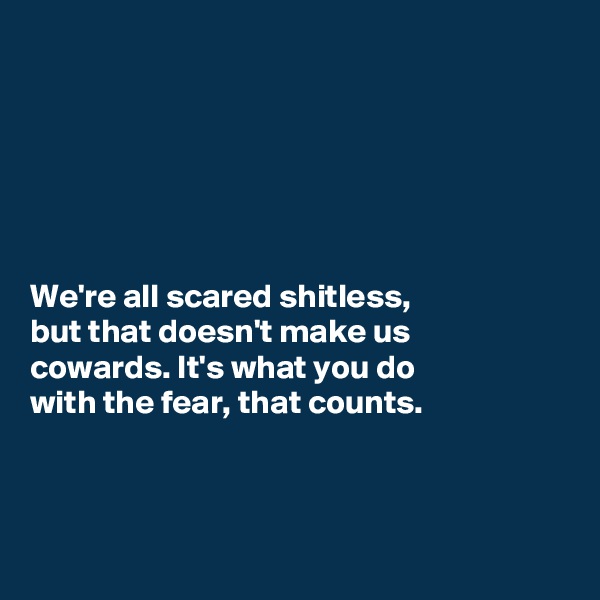 






We're all scared shitless, 
but that doesn't make us 
cowards. It's what you do 
with the fear, that counts.



