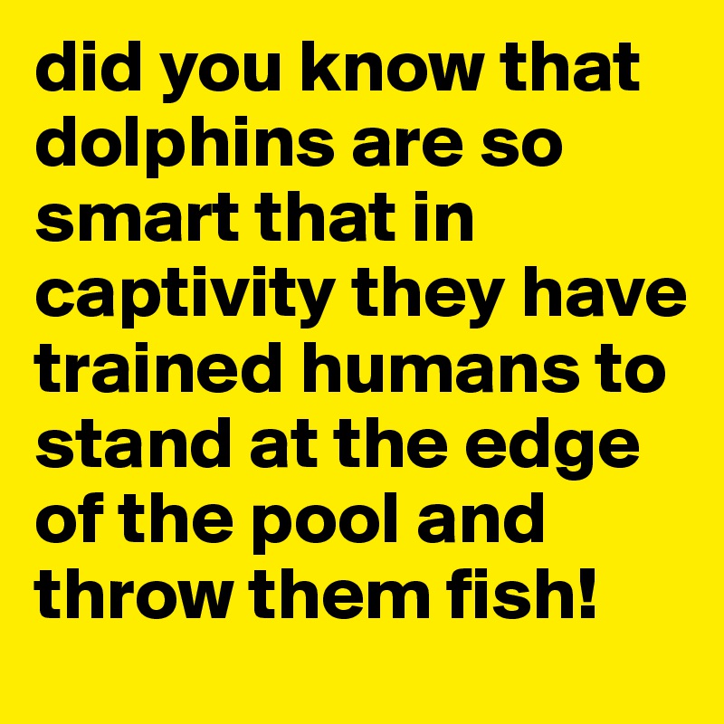 did you know that dolphins are so smart that in captivity they have trained humans to stand at the edge of the pool and throw them fish! 