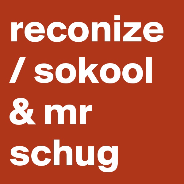reconize / sokool & mr schug