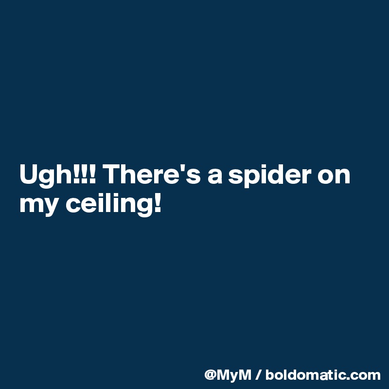 




Ugh!!! There's a spider on my ceiling!




