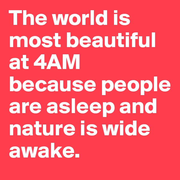 The world is most beautiful at 4AM because people are asleep and nature is wide awake.