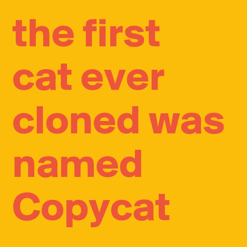 the first cat ever cloned was named Copycat