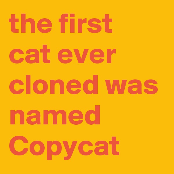 the first cat ever cloned was named Copycat