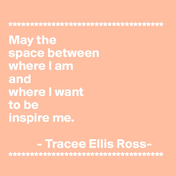 
************************************
May the 
space between 
where I am 
and 
where I want 
to be 
inspire me.
 
           - Tracee Ellis Ross-
************************************