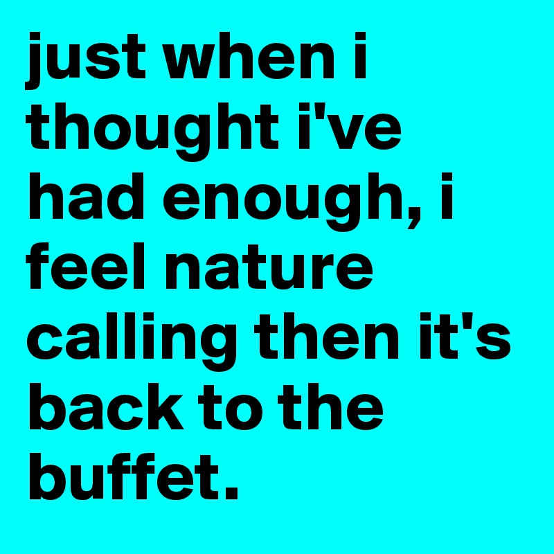 just when i thought i've had enough, i feel nature calling then it's back to the buffet.