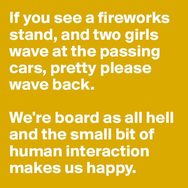 If you see a fireworks stand, and two girls wave at the passing cars, pretty please wave back. 

We're board as all hell and the small bit of human interaction makes us happy. 