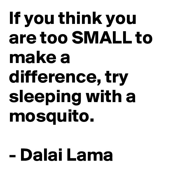 If you think you are too SMALL to make a difference, try sleeping with a mosquito. 

- Dalai Lama