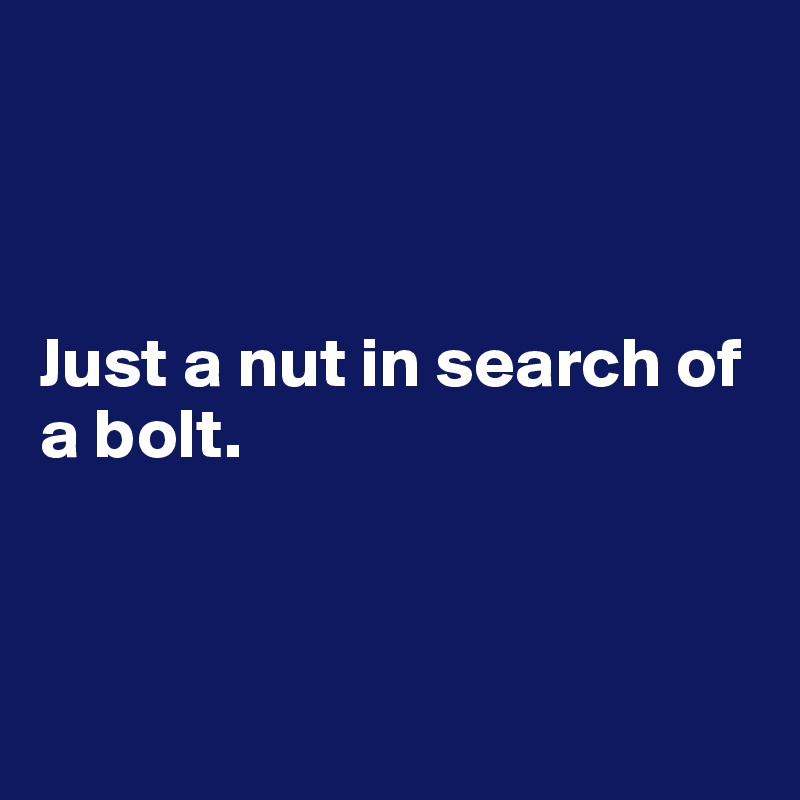 



Just a nut in search of a bolt.



