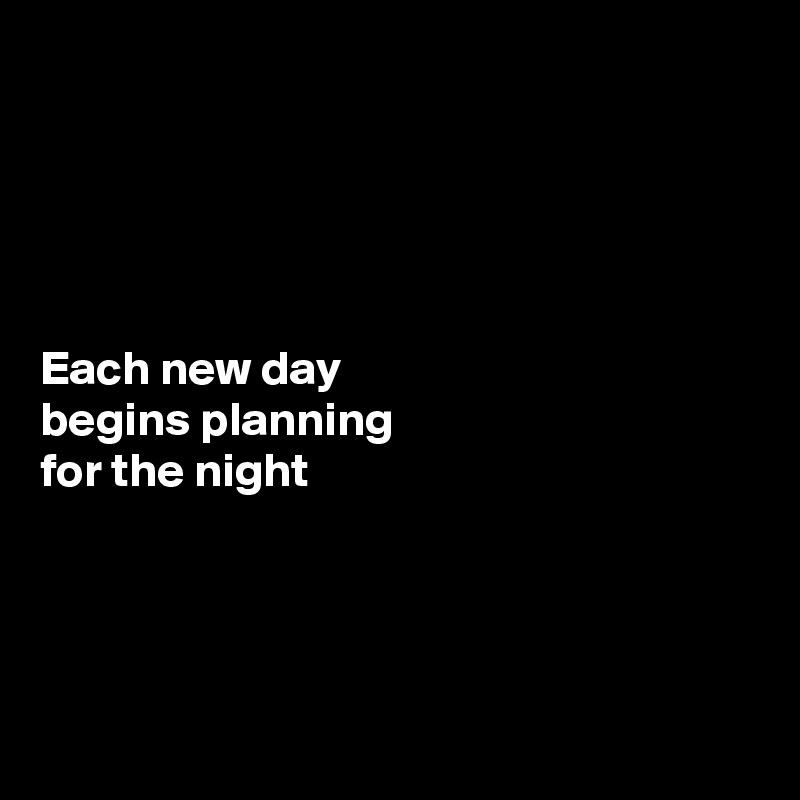 





Each new day 
begins planning 
for the night





