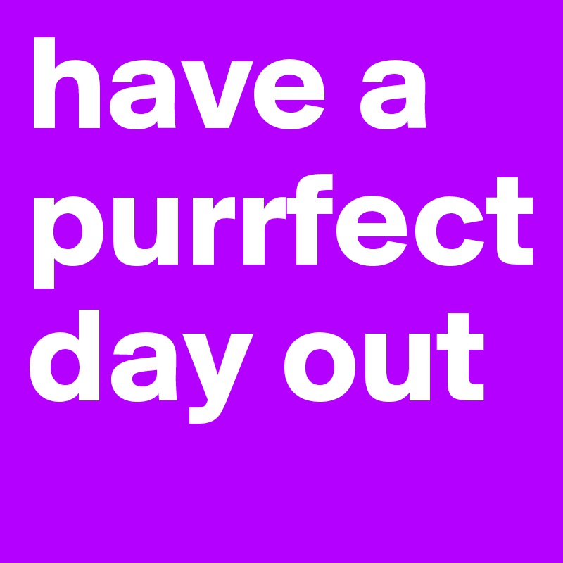 have a purrfect day out