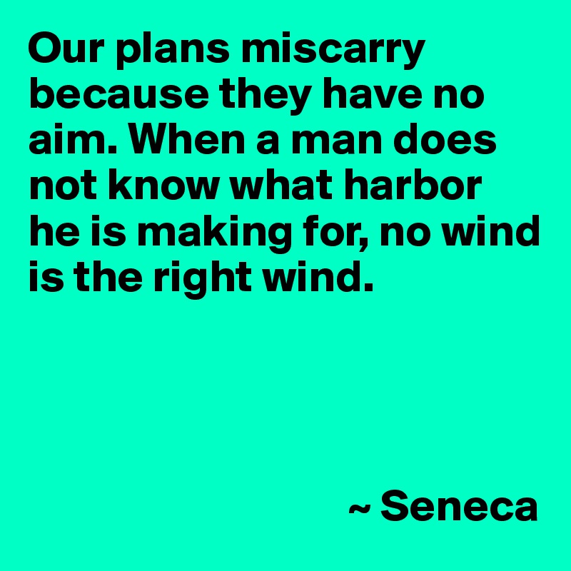 Our plans miscarry because they have no aim. When a man does not know what harbor he is making for, no wind is the right wind.




                                   ~ Seneca