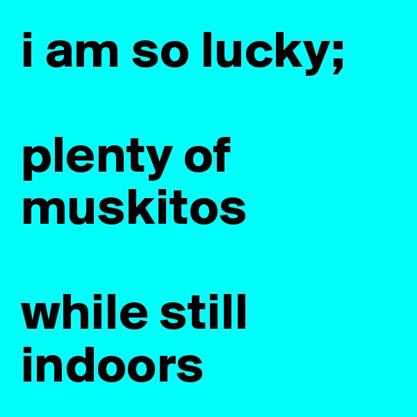 i am so lucky;

plenty of muskitos

while still indoors