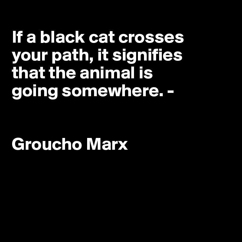
If a black cat crosses 
your path, it signifies 
that the animal is 
going somewhere. -


Groucho Marx



