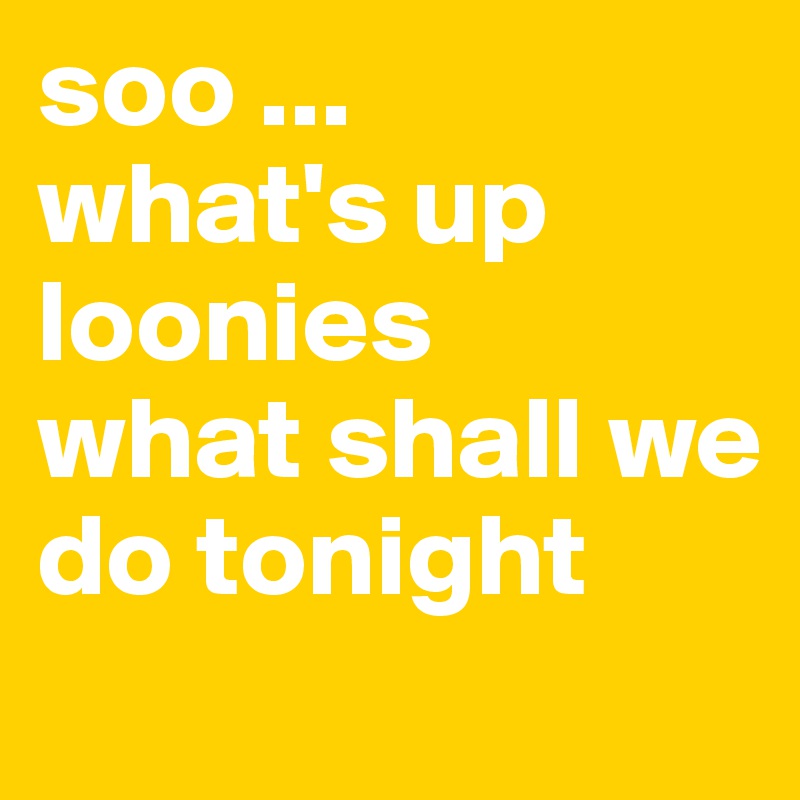 soo ...
what's up loonies 
what shall we do tonight
