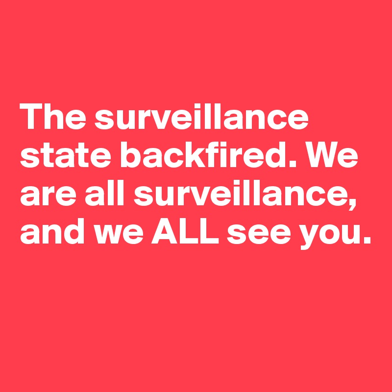 

The surveillance state backfired. We are all surveillance, and we ALL see you.


