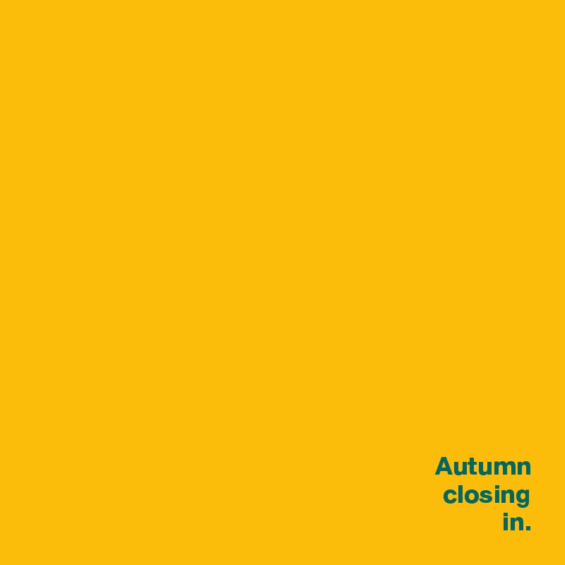 














Autumn
closing
in.