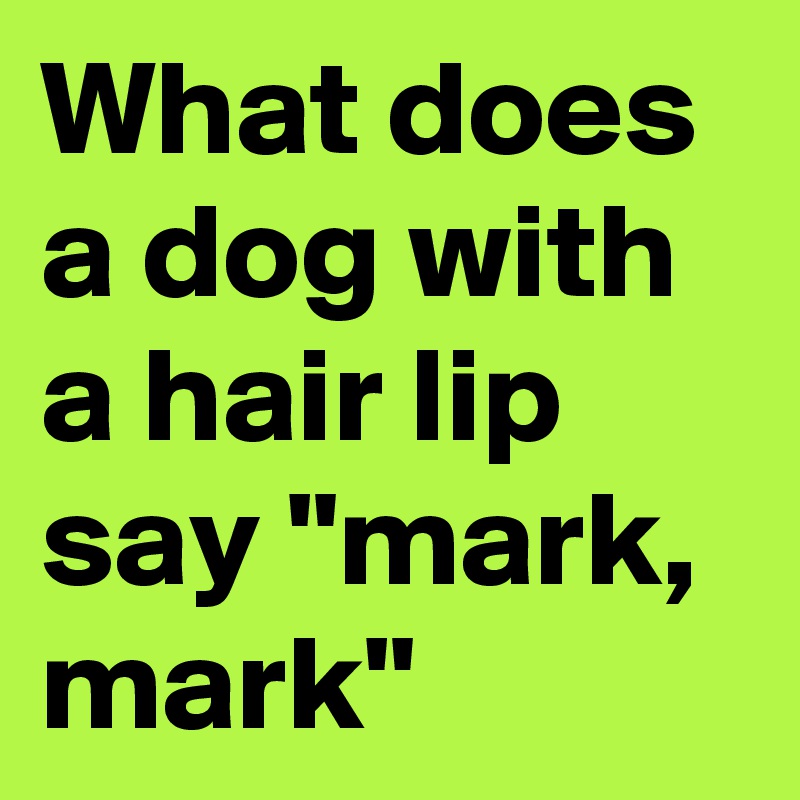 What does a dog with a hair lip say "mark, mark"
