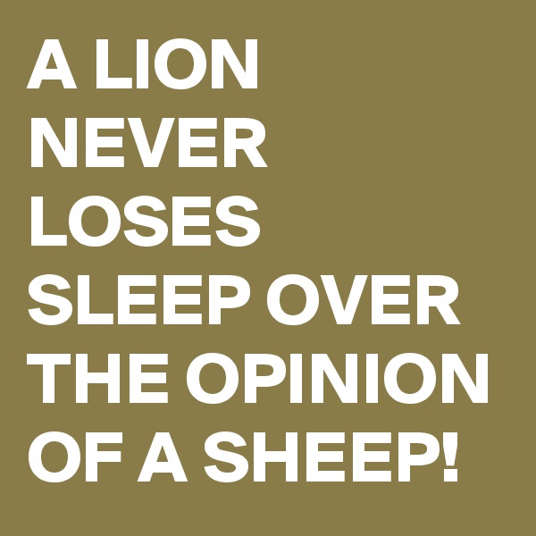 A LION NEVER LOSES SLEEP OVER THE OPINION OF A SHEEP!