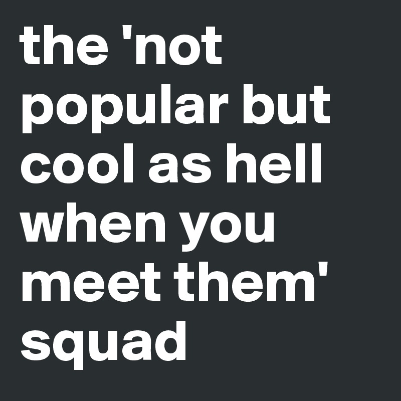 the 'not popular but cool as hell when you meet them' squad 