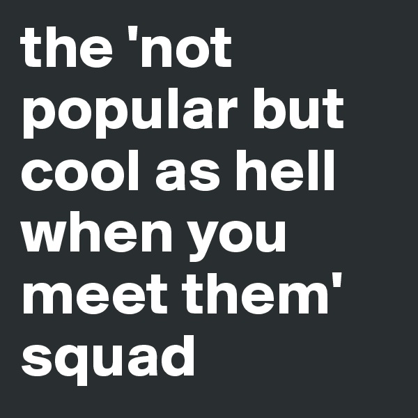 the 'not popular but cool as hell when you meet them' squad 