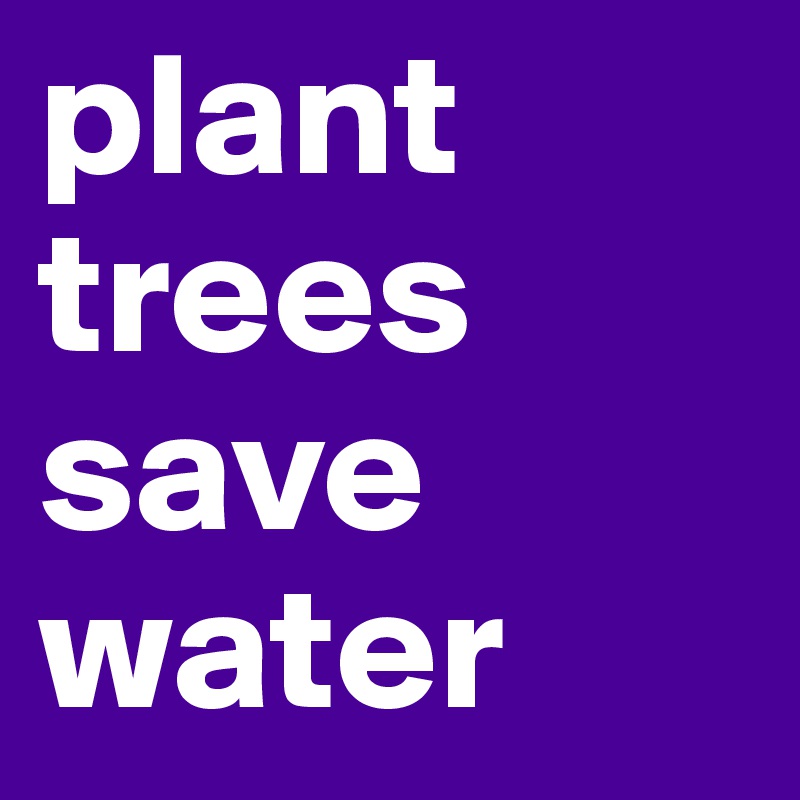 plant trees
save
water