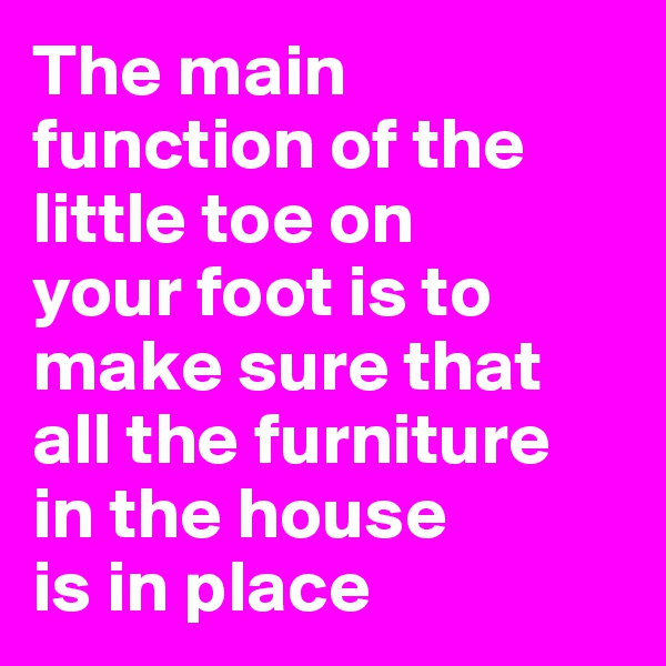 The main                       
function of the                          
little toe on 
your foot is to make sure that all the furniture 
in the house 
is in place 