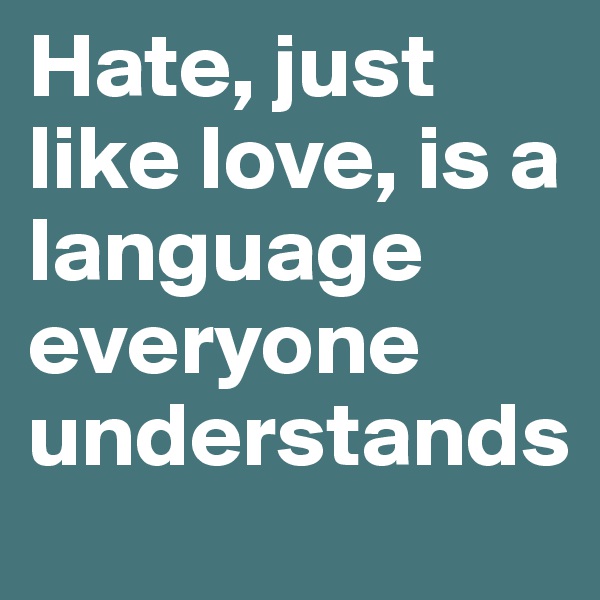 Hate, just like love, is a language everyone understands 