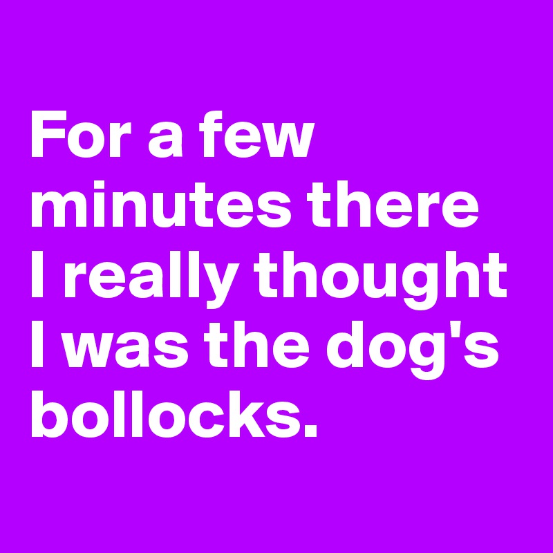 
For a few minutes there 
I really thought I was the dog's bollocks.
