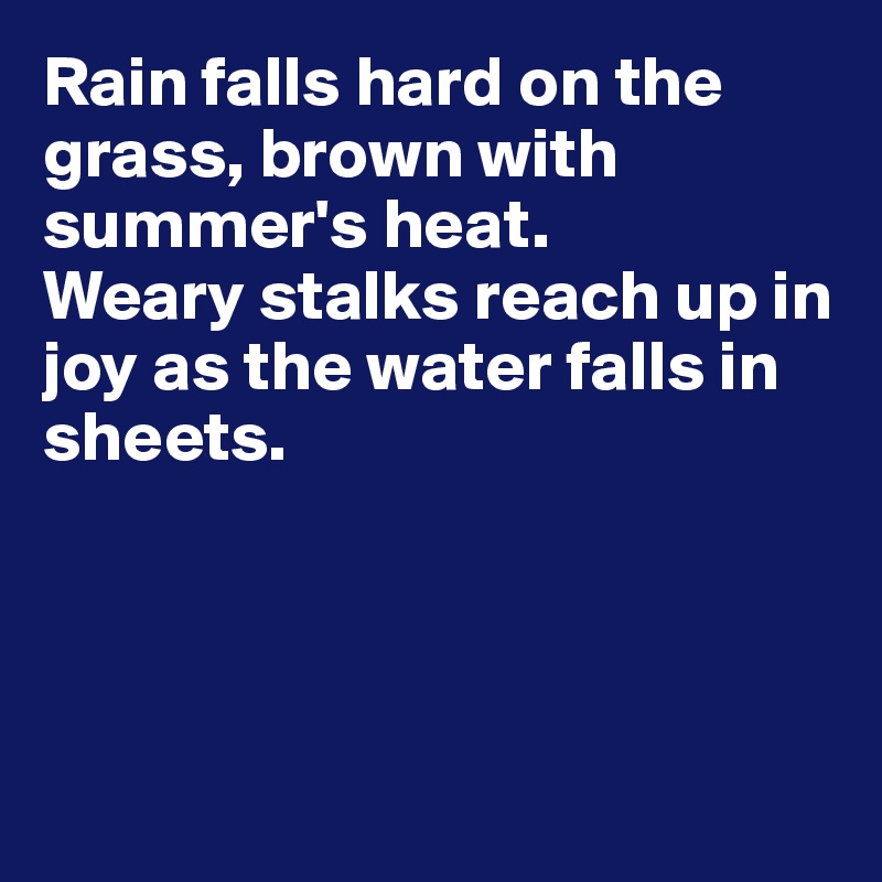 Rain falls hard on the grass, brown with summer's heat. 
Weary stalks reach up in joy as the water falls in sheets.




