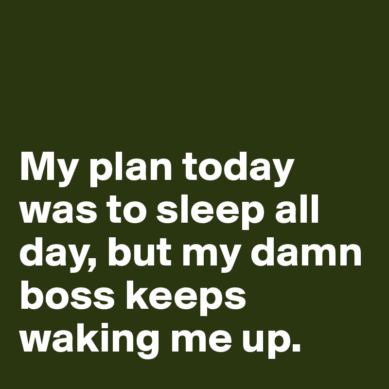 


My plan today was to sleep all day, but my damn boss keeps waking me up. 