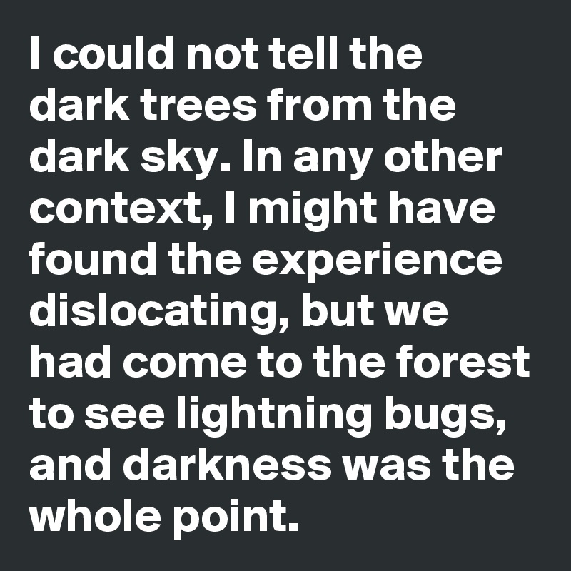 I could not tell the dark trees from the dark sky. In any other context, I might have found the experience dislocating, but we had come to the forest to see lightning bugs, and darkness was the whole point.