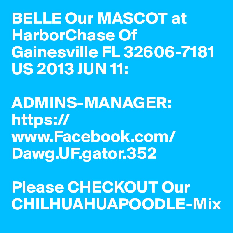 BELLE Our MASCOT at HarborChase Of Gainesville FL 32606-7181 US 2013 JUN 11:

ADMINS-MANAGER: https://www.Facebook.com/Dawg.UF.gator.352

Please CHECKOUT Our CHILHUAHUAPOODLE-Mix 
