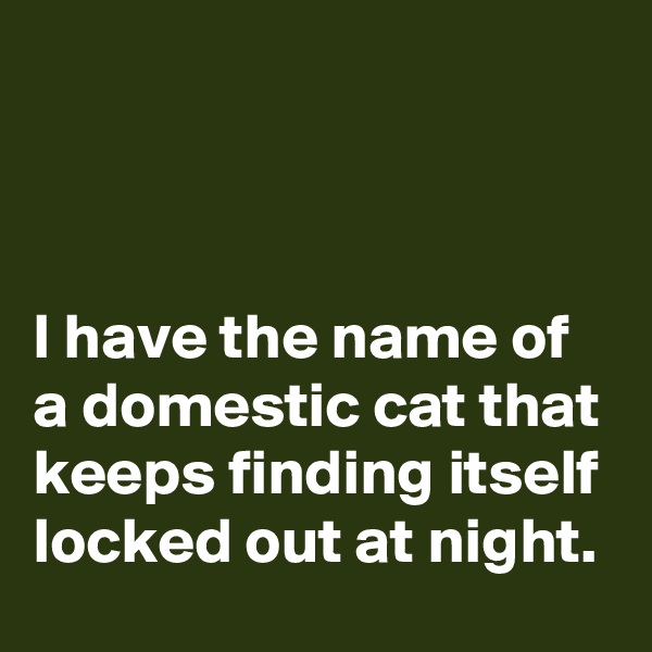 



I have the name of a domestic cat that keeps finding itself locked out at night.