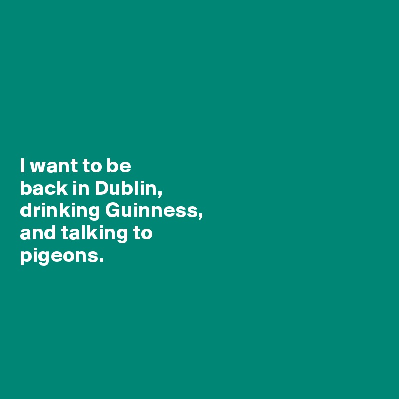 





I want to be 
back in Dublin, 
drinking Guinness, 
and talking to 
pigeons. 




