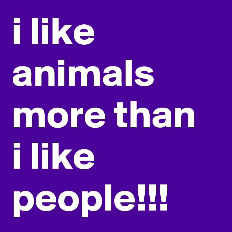 i like animals more than i like people!!!