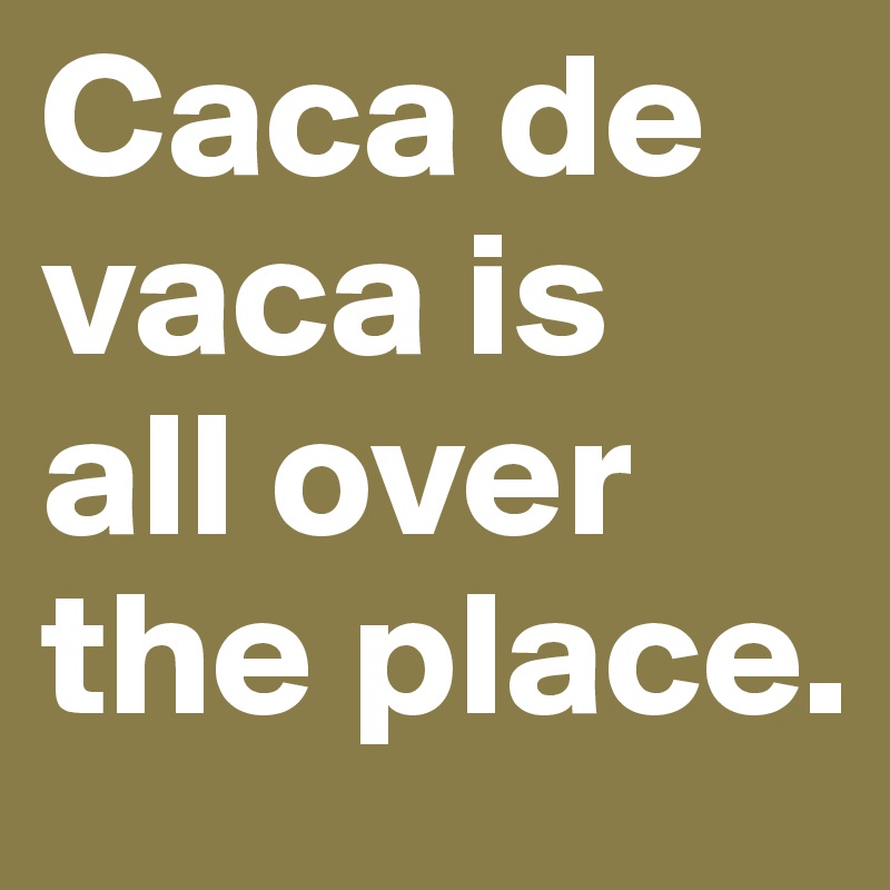Caca de vaca is
all over the place. 