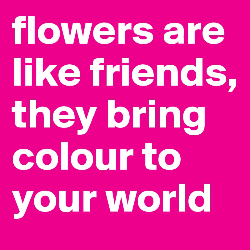 flowers are like friends, they bring colour to your world 