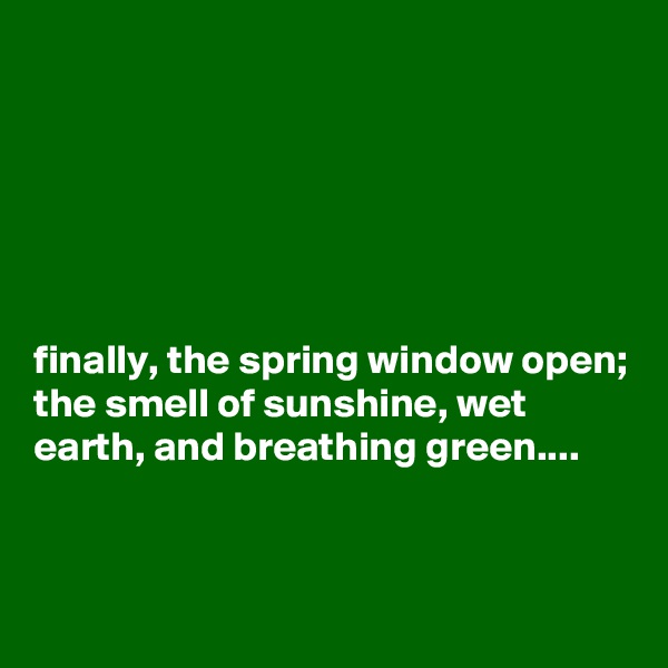 






finally, the spring window open; the smell of sunshine, wet earth, and breathing green....


