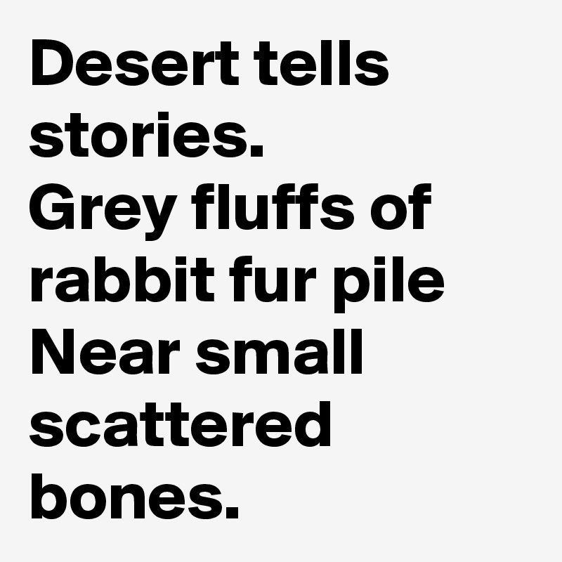 Desert tells stories.
Grey fluffs of rabbit fur pile 
Near small scattered bones.