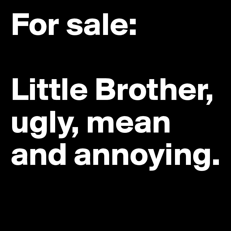 For sale: 

Little Brother, ugly, mean and annoying.
