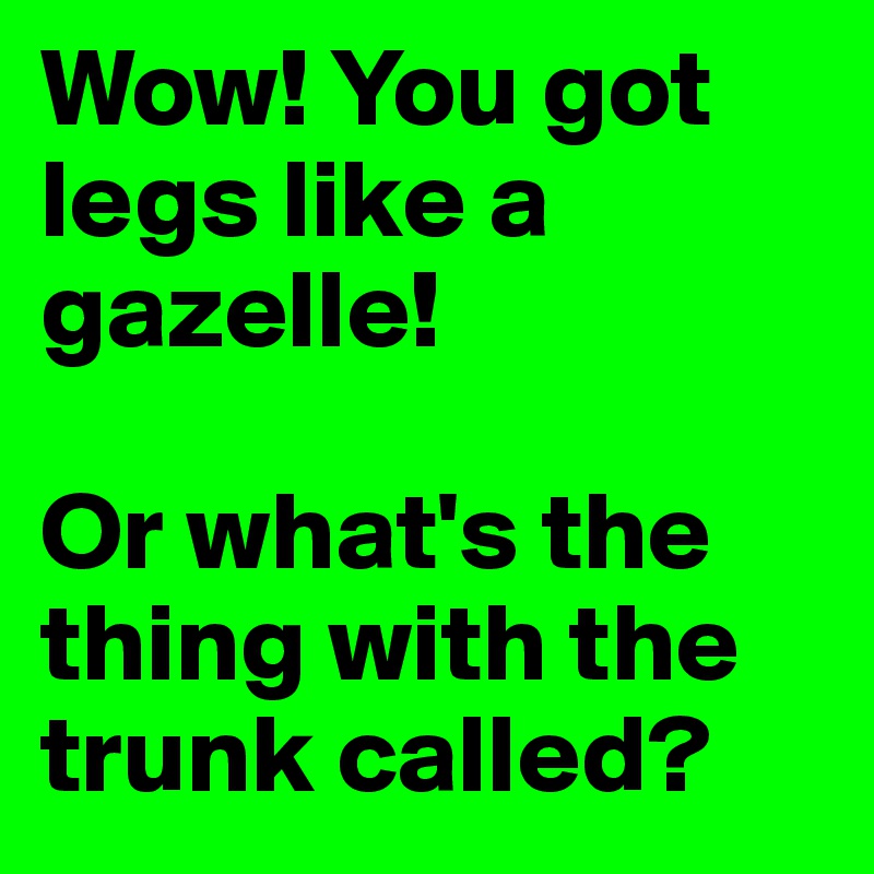 Wow! You got legs like a gazelle!

Or what's the thing with the trunk called?