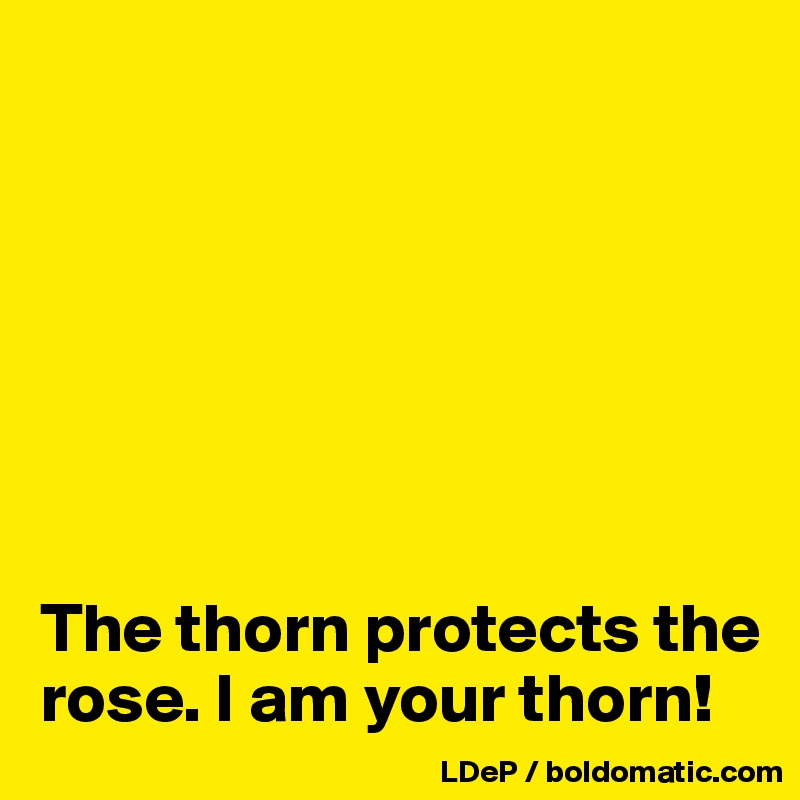 







The thorn protects the rose. I am your thorn!