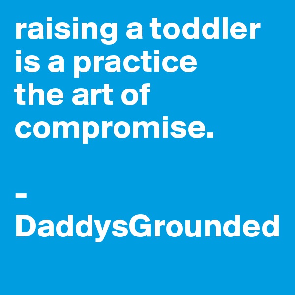 raising a toddler is a practice 
the art of compromise. 

- DaddysGrounded