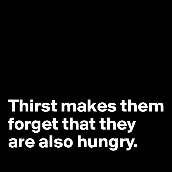




Thirst makes them forget that they are also hungry.