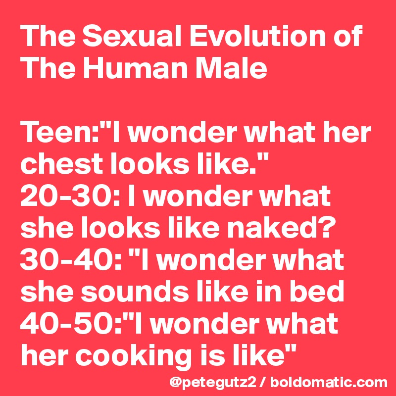 The Sexual Evolution of The Human Male

Teen:"I wonder what her chest looks like."
20-30: I wonder what she looks like naked?
30-40: "I wonder what she sounds like in bed
40-50:"I wonder what her cooking is like"