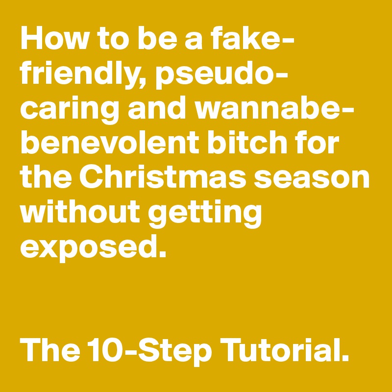 How to be a fake-friendly, pseudo-caring and wannabe- benevolent bitch for the Christmas season without getting exposed.


The 10-Step Tutorial. 